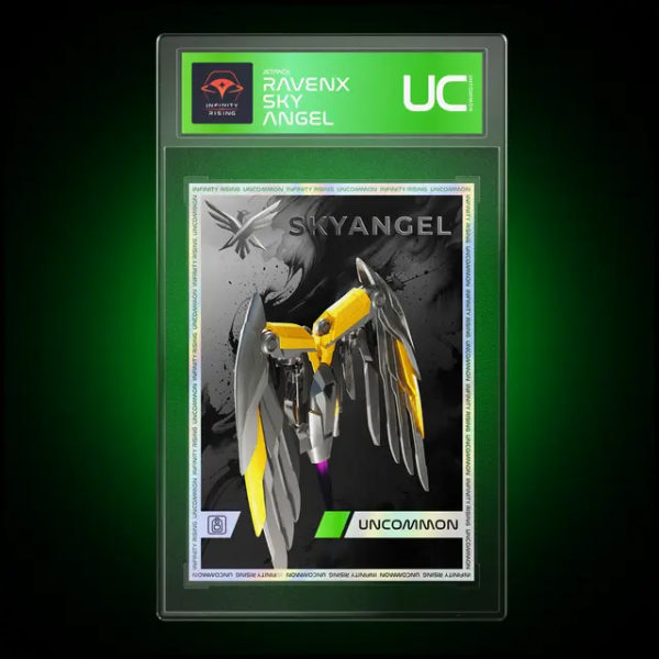 File:RavenX SkyAngel uc.png